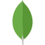 MongoDB
